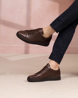 Rovigo Marron Cuir
