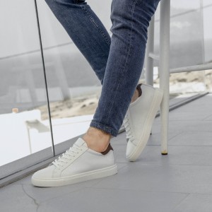 Smith Blanc Marron Cuir